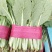 精品小白菜优质供应,量大无虫眼,产地批发,价格便宜