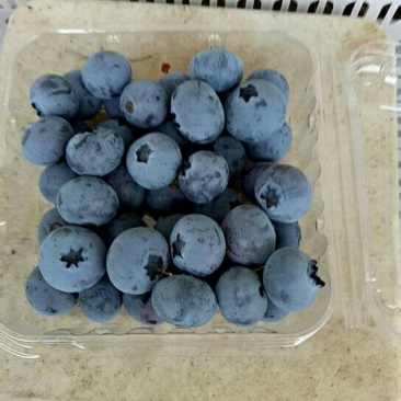 蓝枫