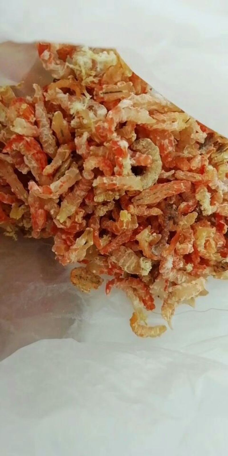 淡干金钩海米