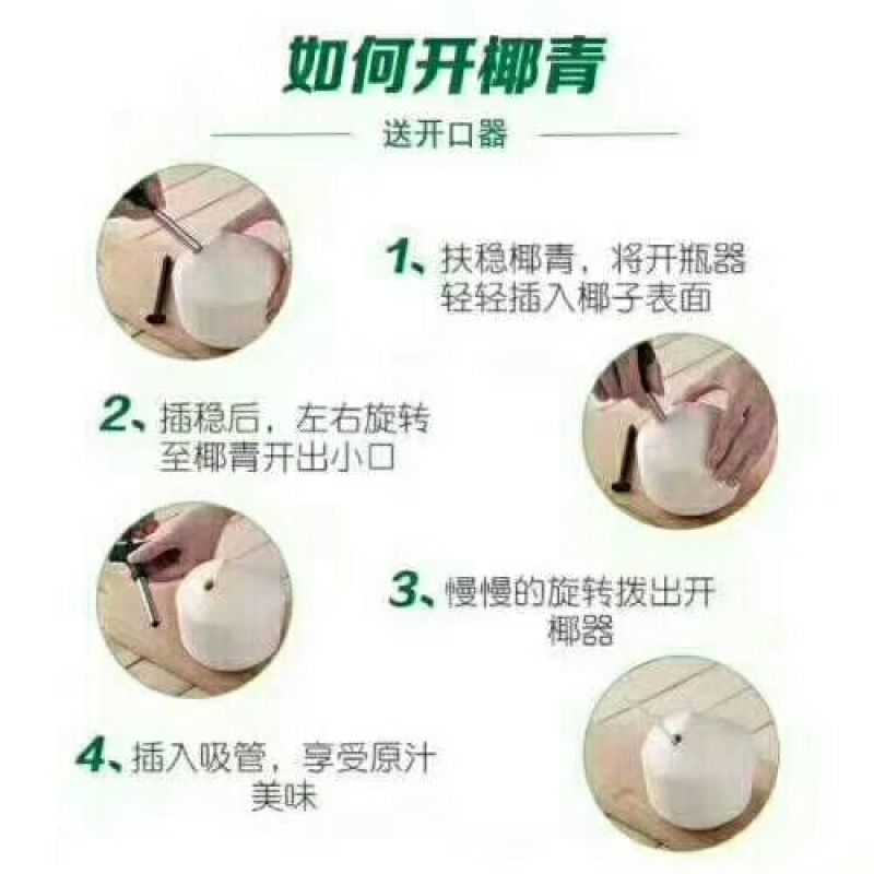 海南椰青