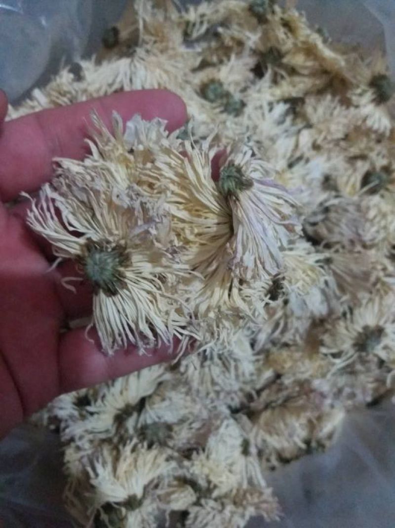 香菊