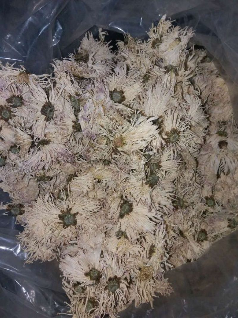 香菊