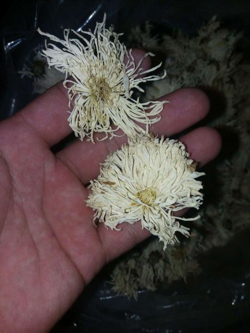 香菊