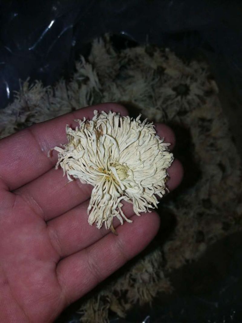 香菊