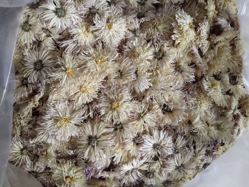 香菊