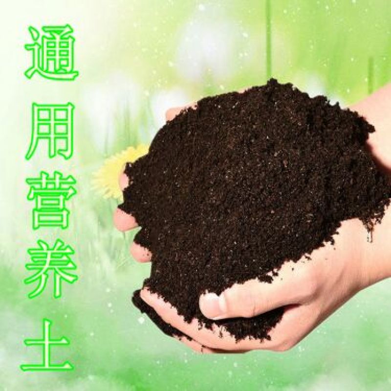 有机营养土育苗土种植土