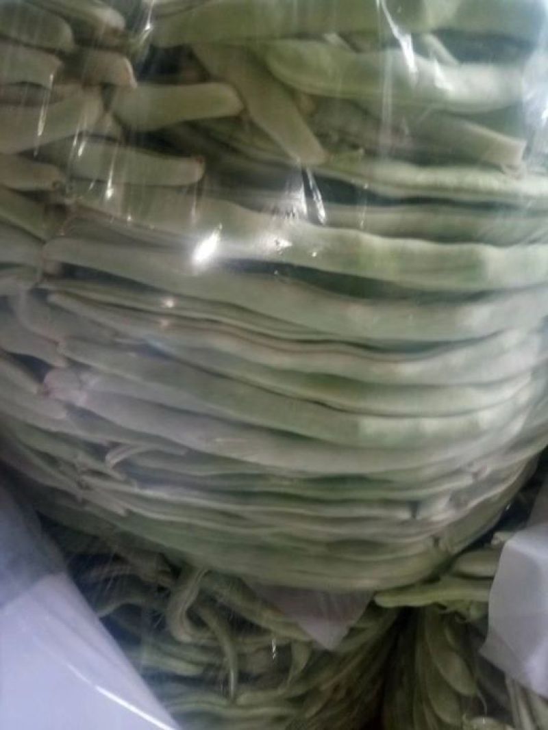 辽宁锦州北镇豆角冷棚高温棚长白豆角，质量好