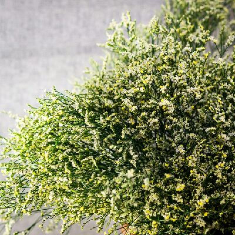 水晶草鲜花干花