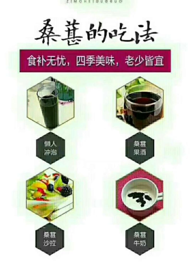 纯天然桑葚干