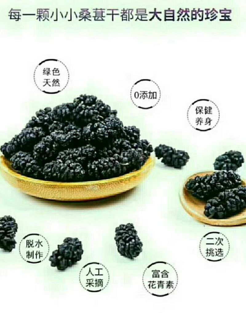 纯天然桑葚干
