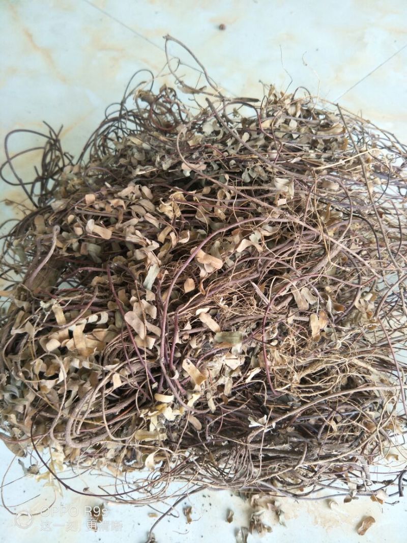 野山鸡骨草