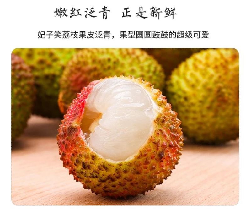 新兴荔枝，批发价格欢迎批发商和代理采购一