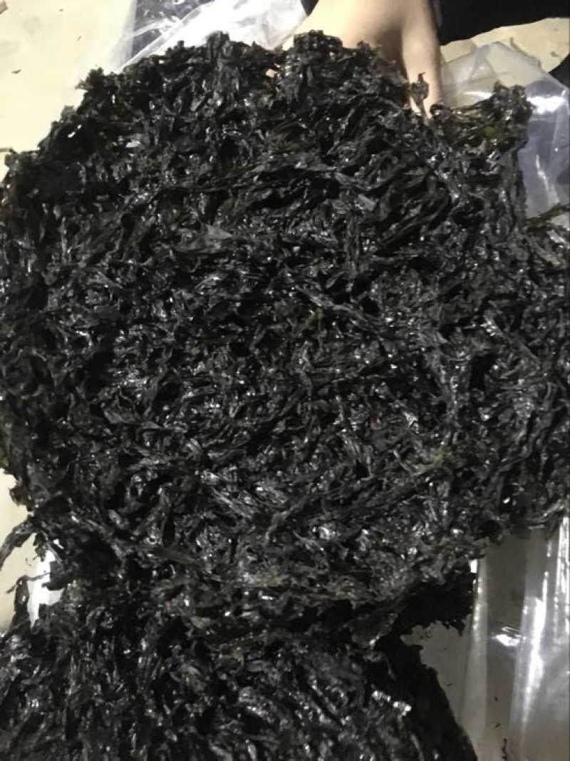 福建紫菜多图)现货供应无杂质无沙紫菜特产批发