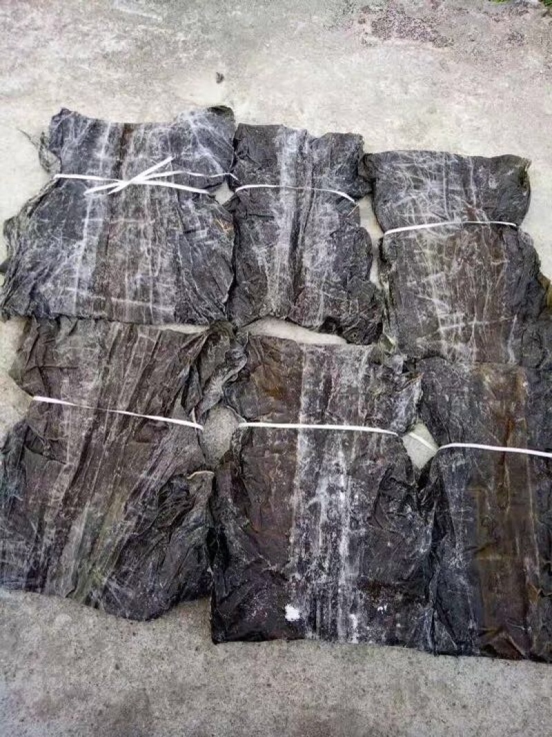 图）包物流供应精装海带王三两菜福建短板菜纯两片30公分