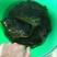图）包物流供应精装海带王三两菜福建短板菜纯两片30公分