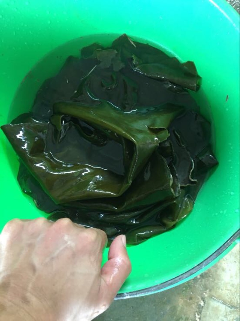 图）包物流供应精装海带王三两菜福建短板菜纯两片30公分