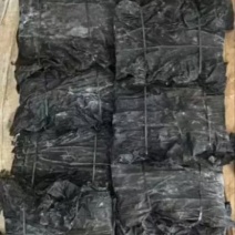 图）包物流供应精装海带王三两菜福建短板菜纯两片30公分