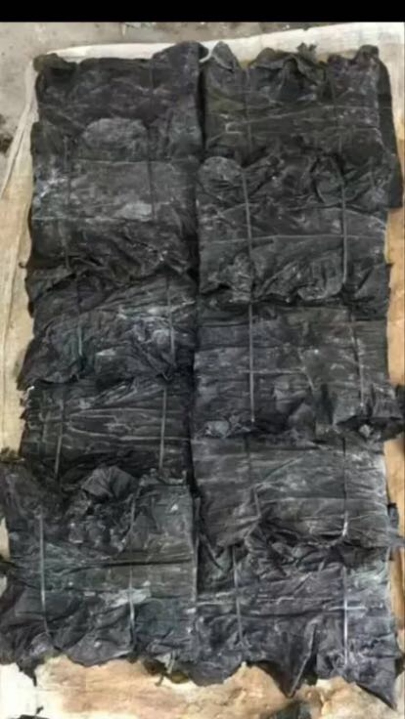 图）包物流供应精装海带王三两菜福建短板菜纯两片30公分