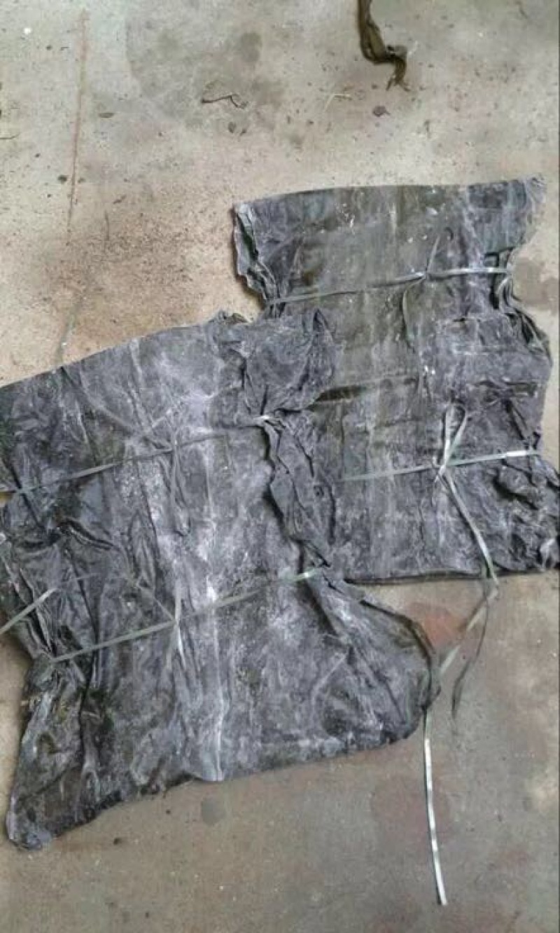 图）包物流供应精装海带王三两菜福建短板菜纯两片30公分