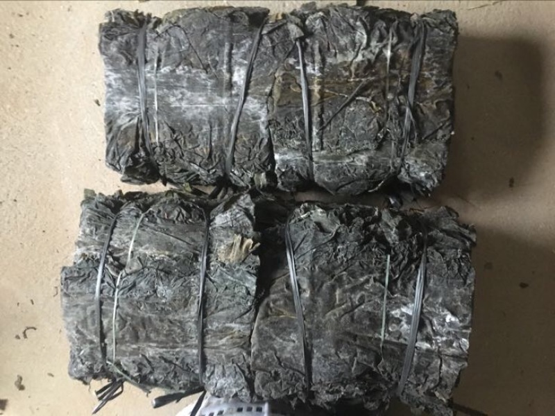 图）包物流供应精装海带王三两菜福建短板菜纯两片30公分