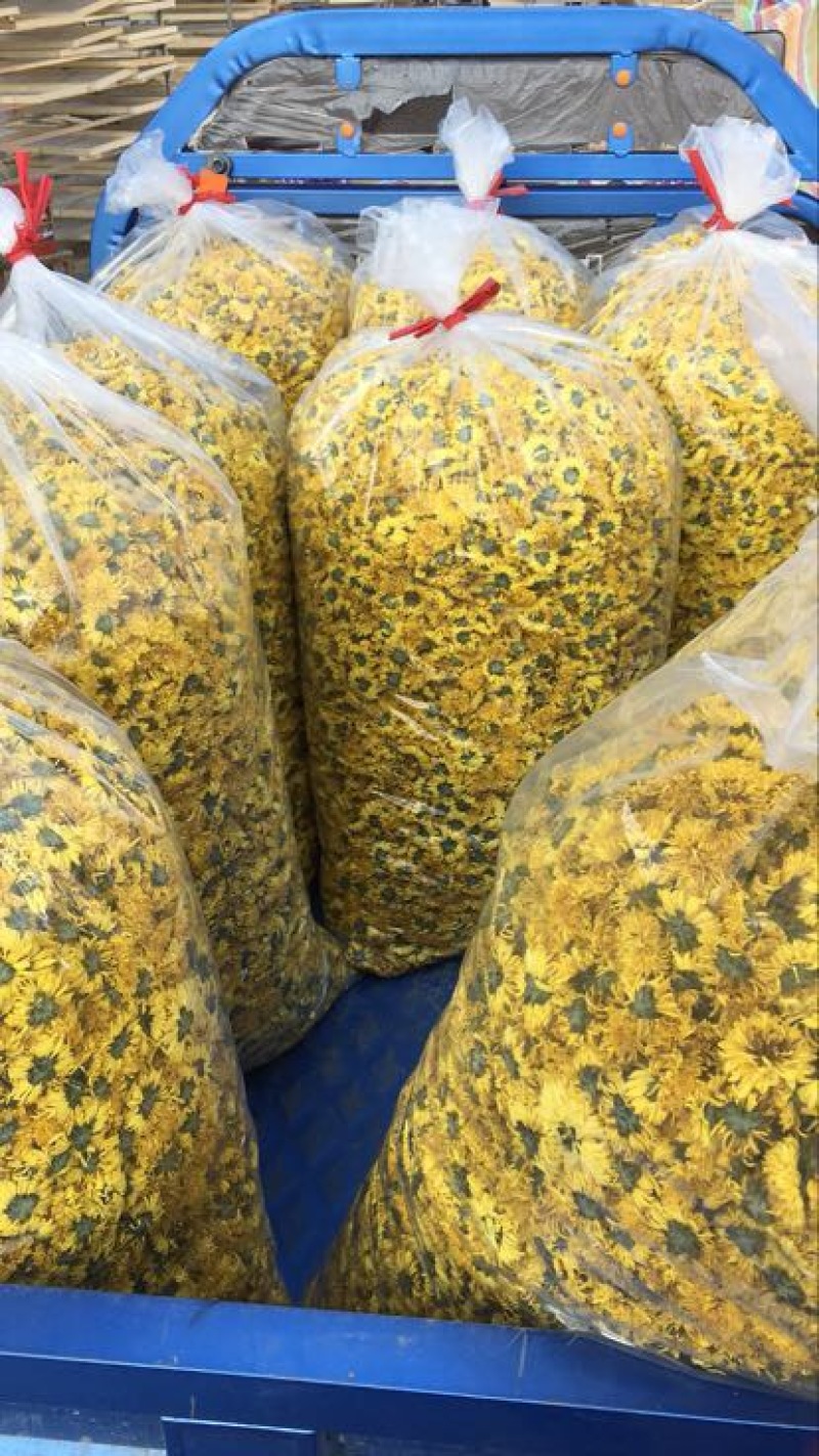 干菊花
