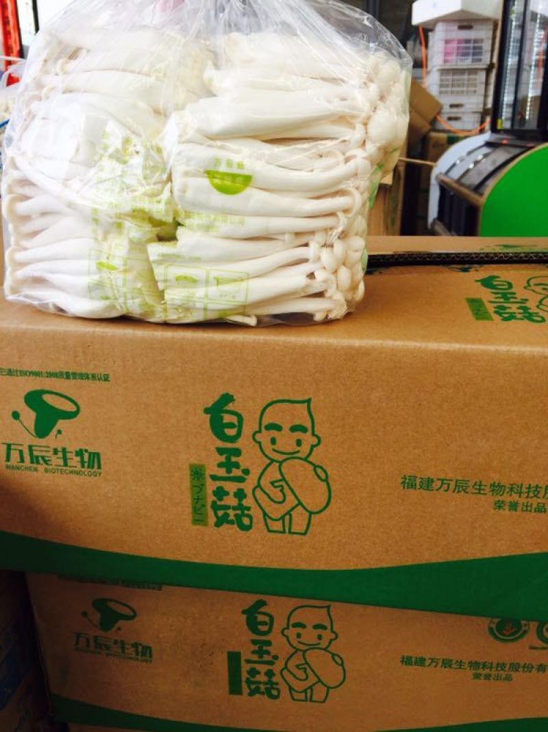 万辰白玉菇，新货上市，价格超低