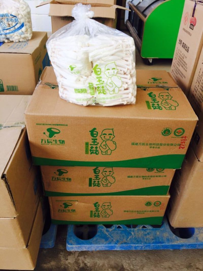 万辰白玉菇，新货上市，价格超低