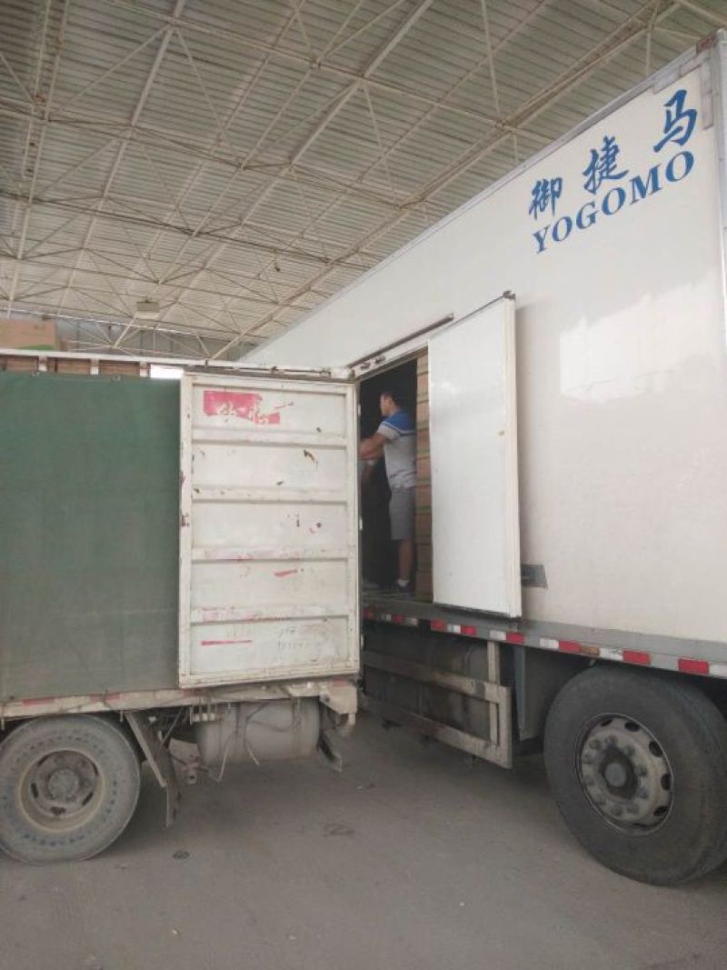 万辰白玉菇，新货上市，价格超低