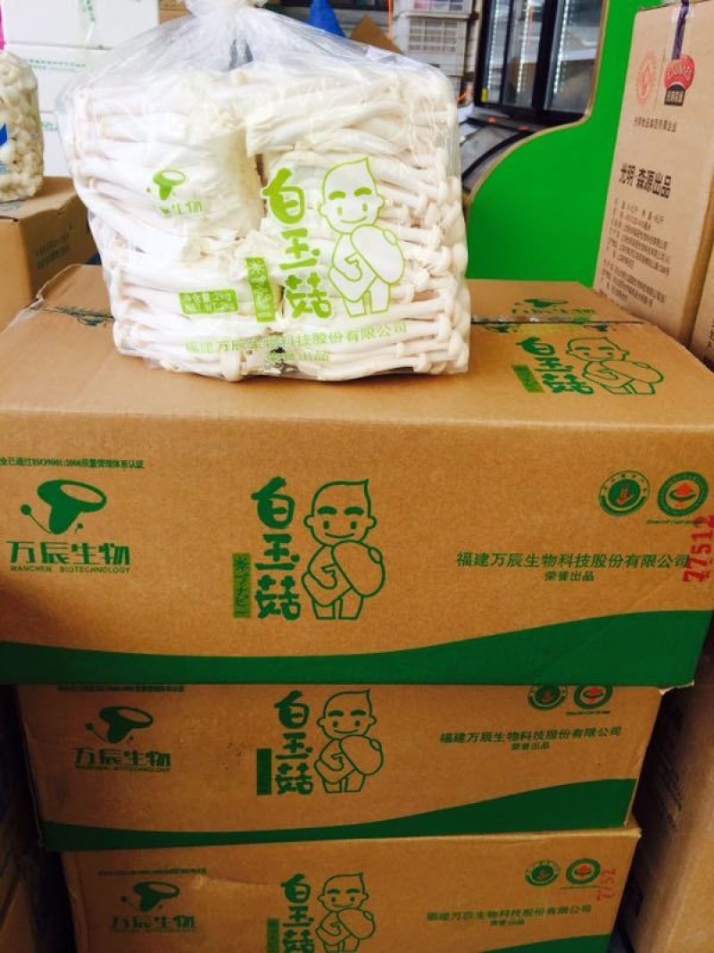 万辰白玉菇，新货上市，价格超低