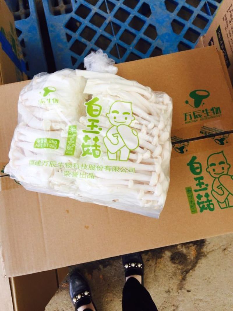 万辰白玉菇，新货上市，价格超低