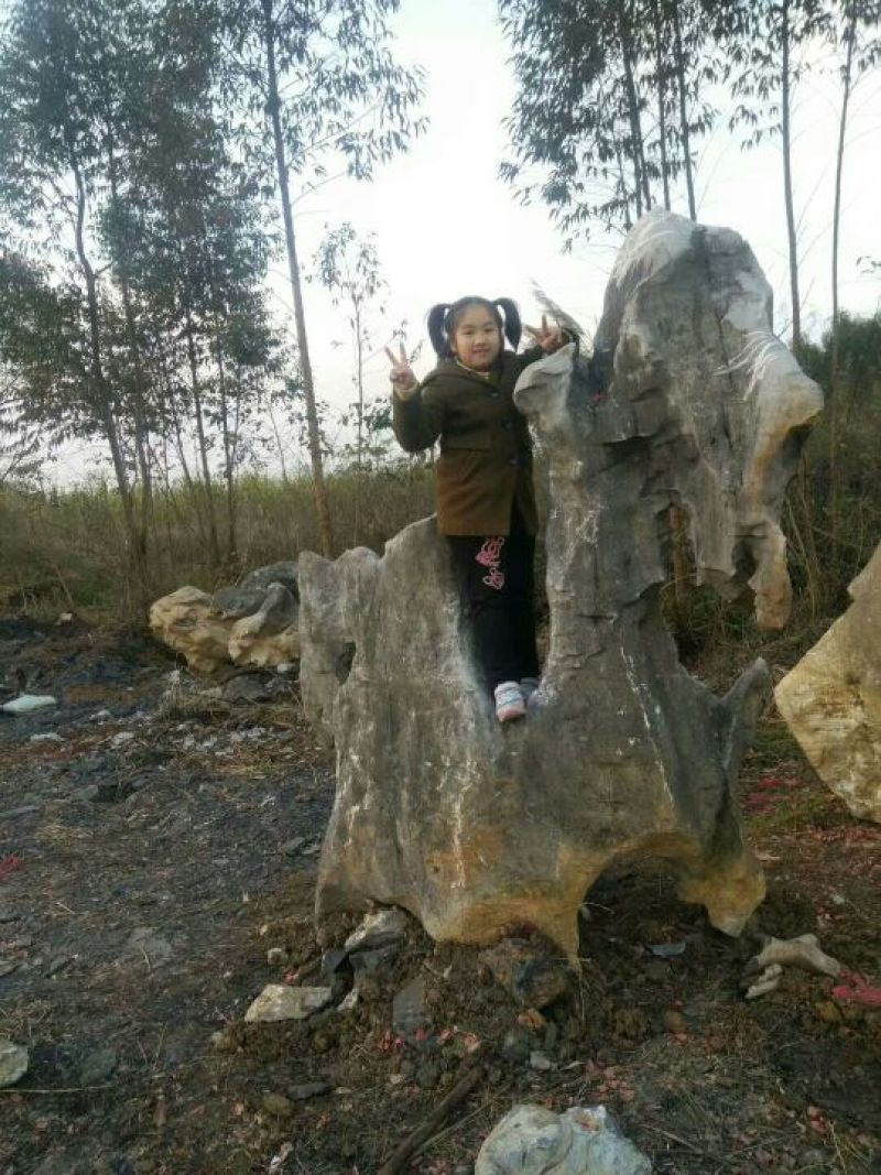 毛石