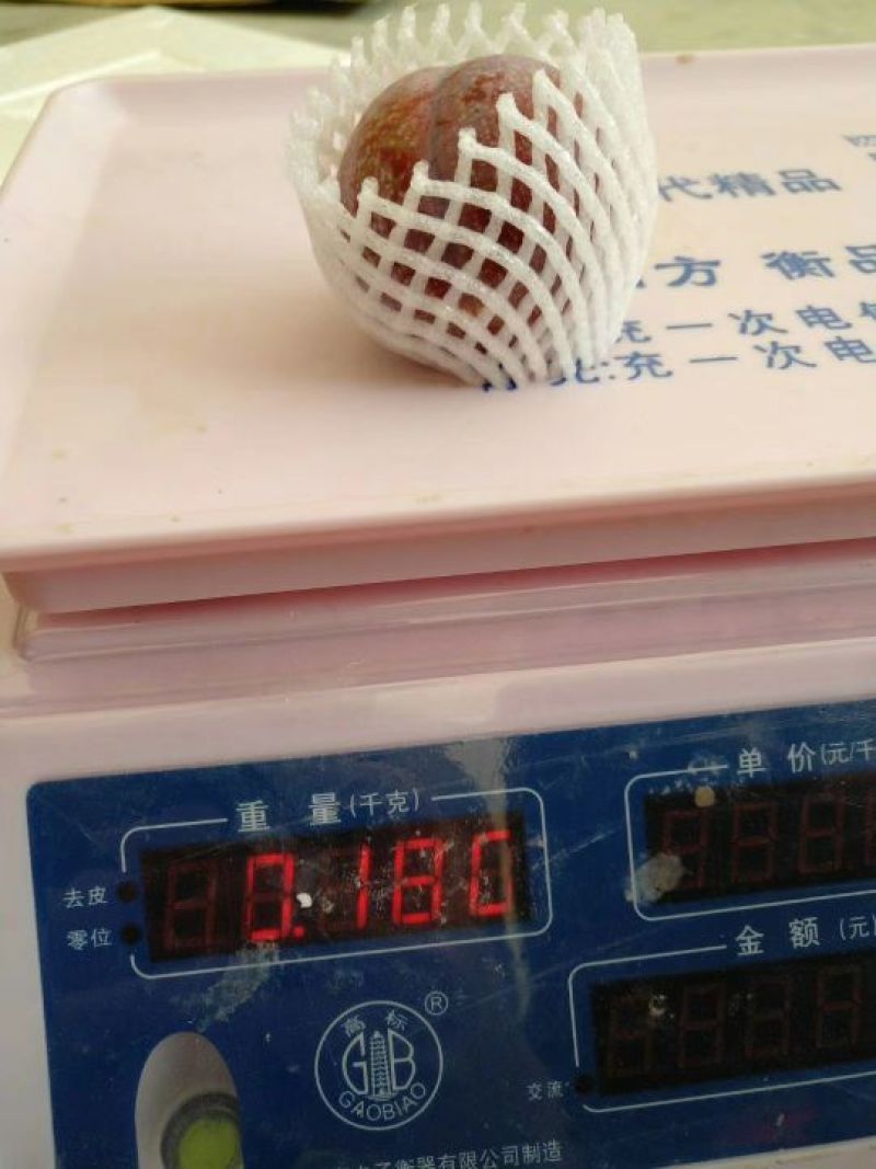 三华李特大果