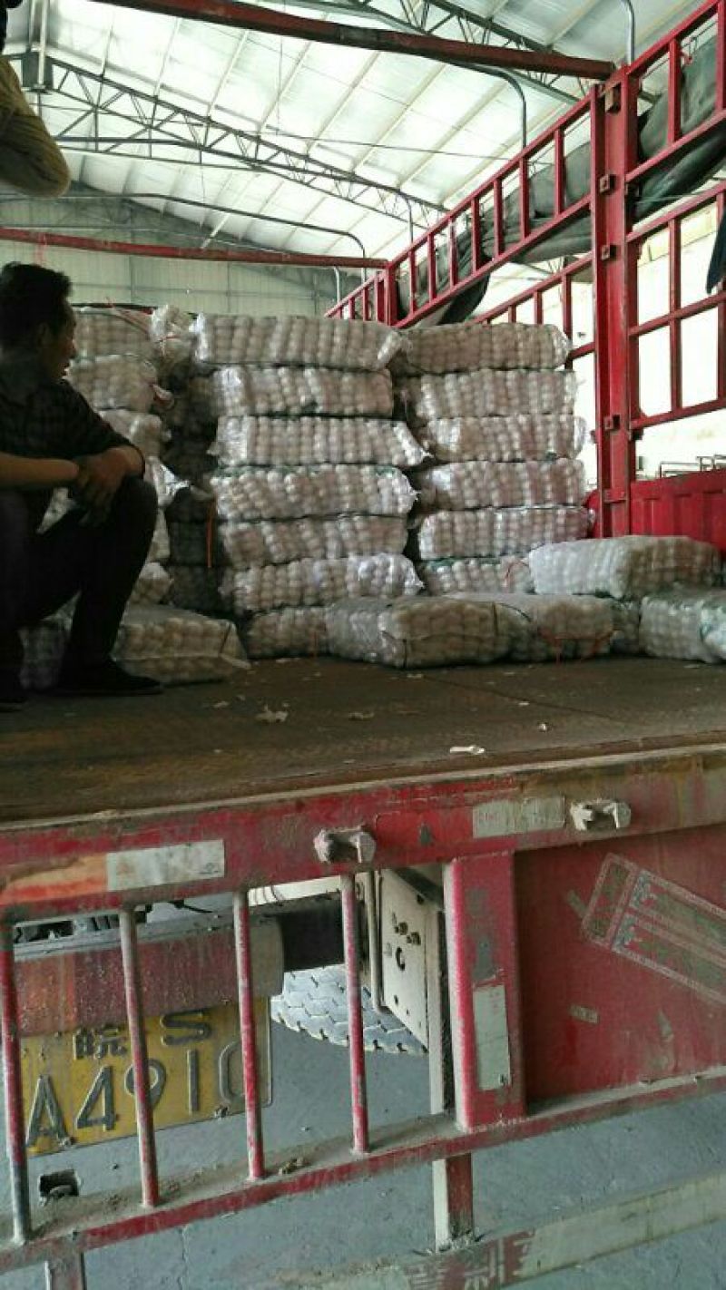 金乡大蒜，实力代收，代收带储存代加工，实力配资
