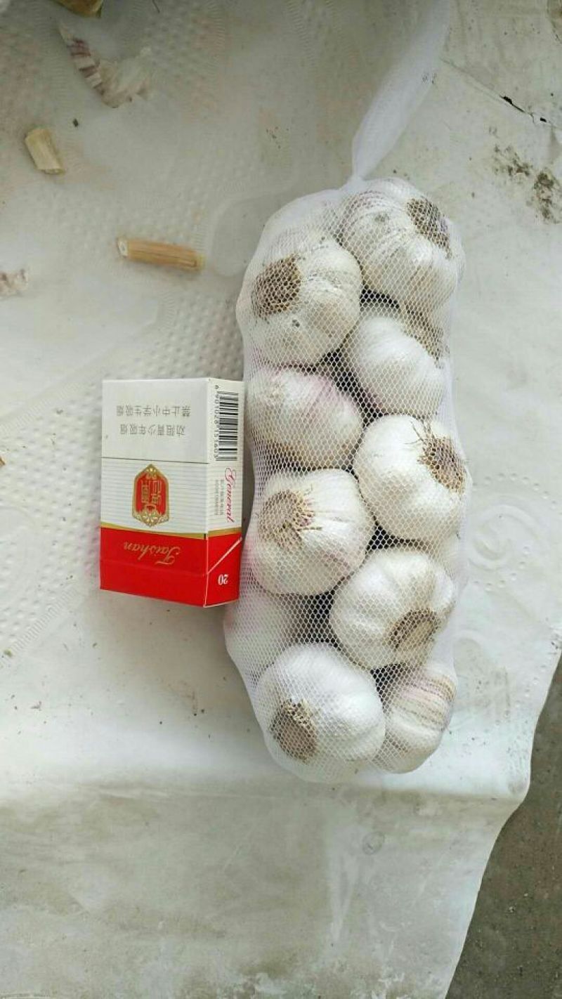 金乡大蒜，实力代收，代收带储存代加工，实力配资