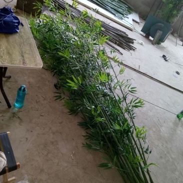 仿真环保装饰竹子