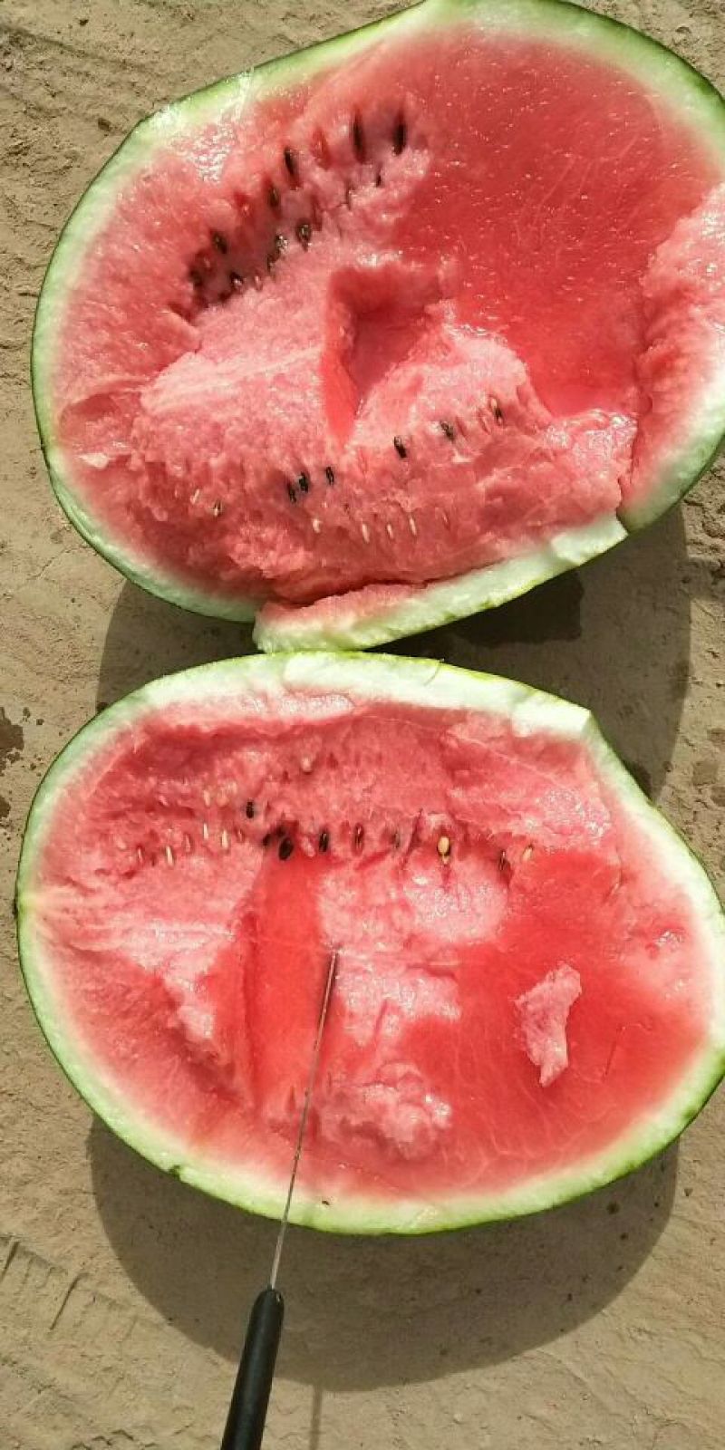 甜王西瓜