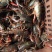 湖虾小龙虾主养4-6钱（20-30克）活虾