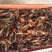 湖虾小龙虾主养4-6钱（20-30克）活虾
