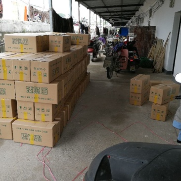 翘嘴白鱼苗，大白刁。拉网不跳品种，自产自销，品种齐全