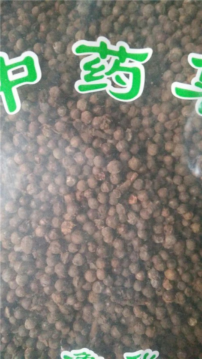 荜澄茄