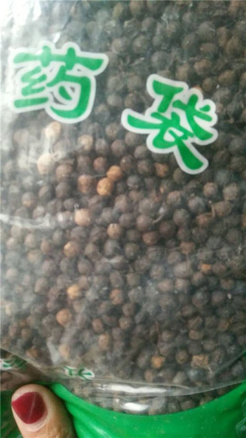荜澄茄