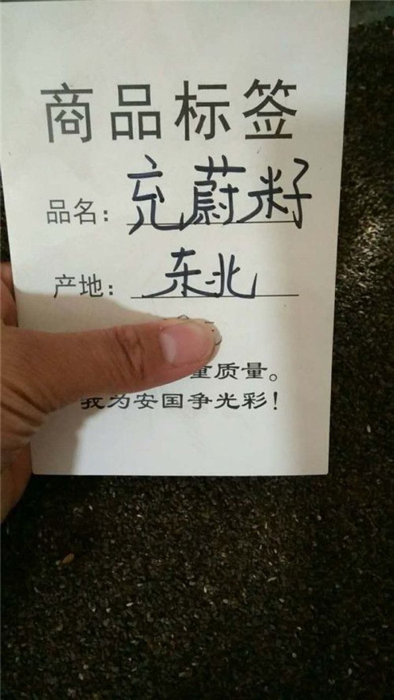 茺蔚子产地东北