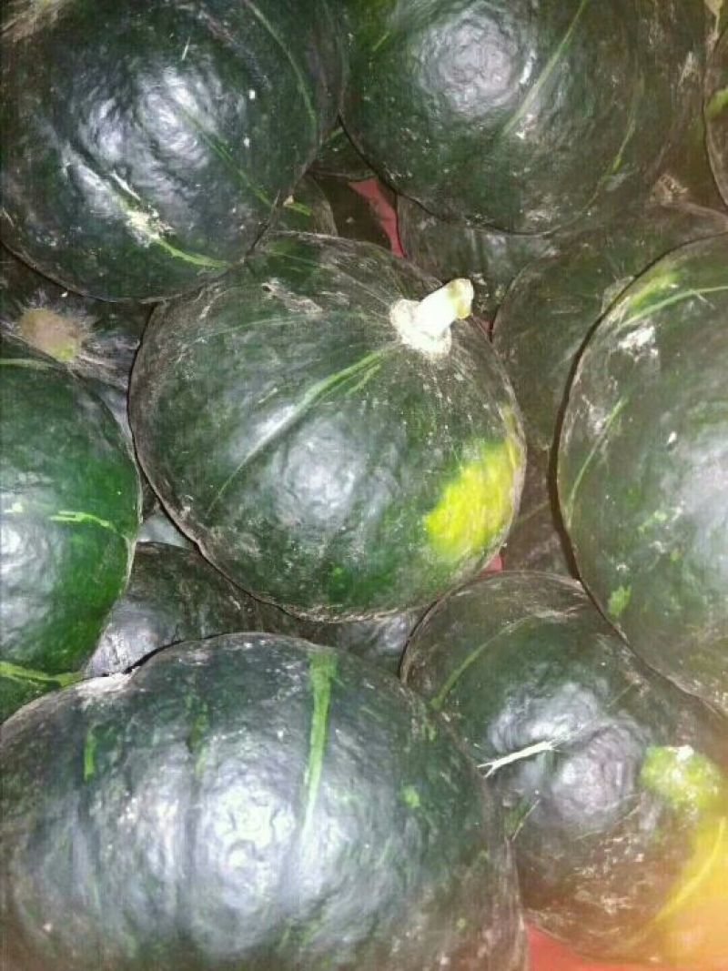 南瓜又名北瓜