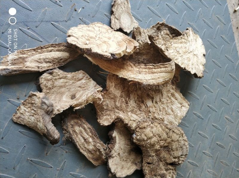 葛根葛根丁葛根块柴葛根葛根片