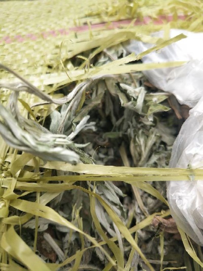 艾叶通货野生艾叶品质高含量高量大