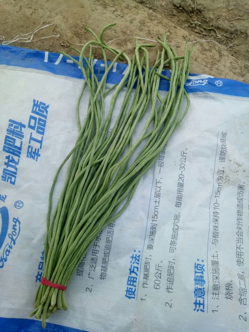 长豆角长豆角长豆角长豆角