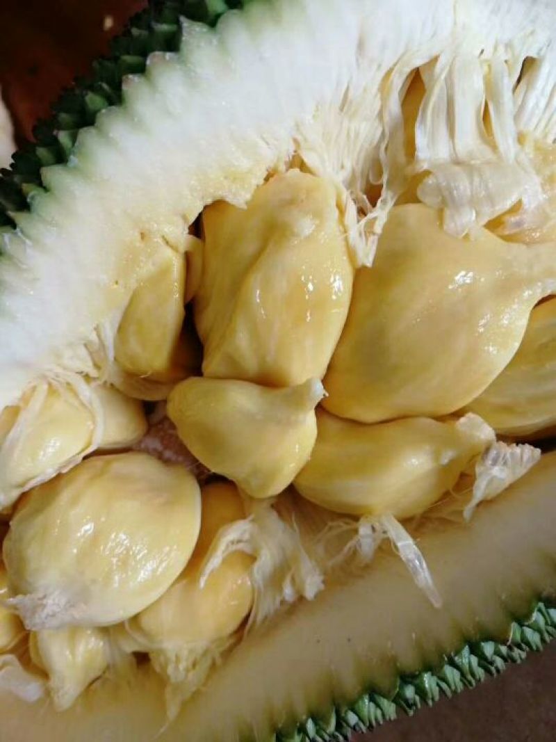 越南榴莲蜜