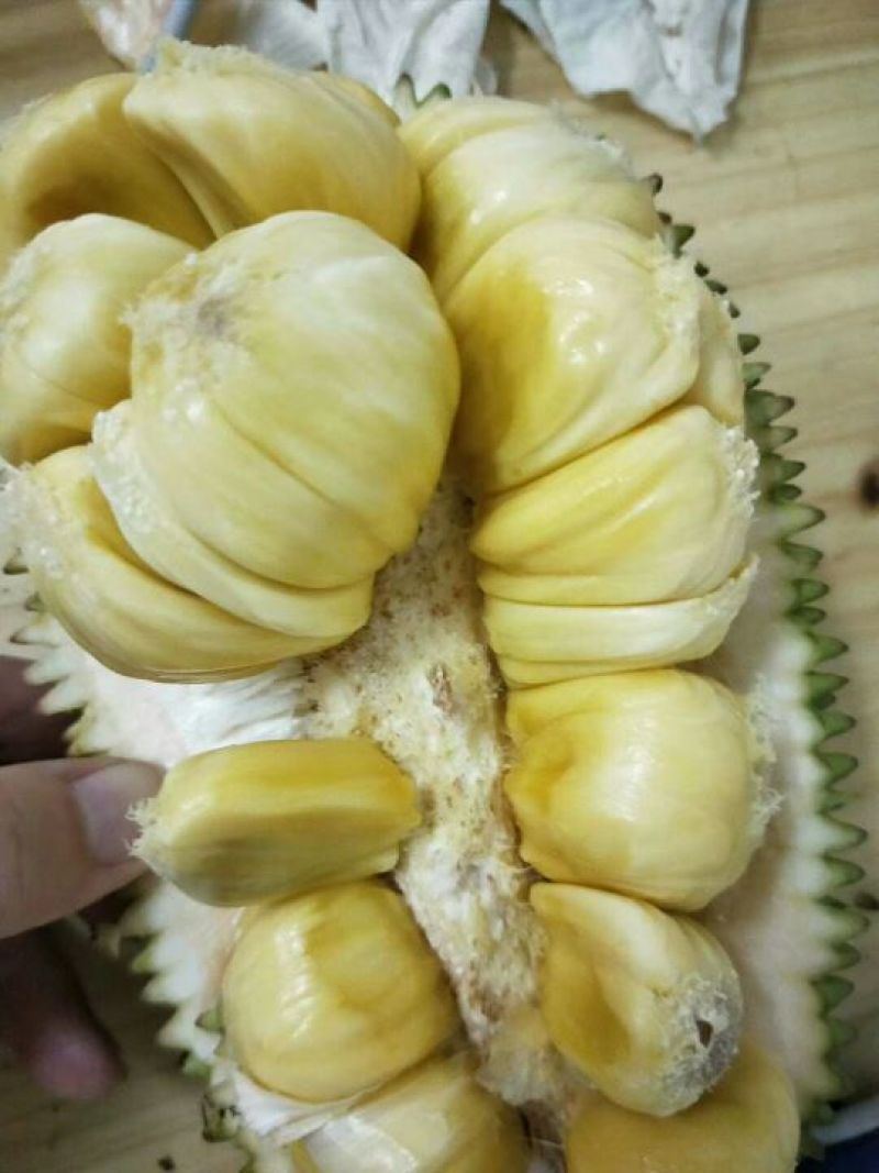 越南榴莲蜜