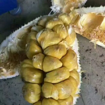 越南榴莲蜜
