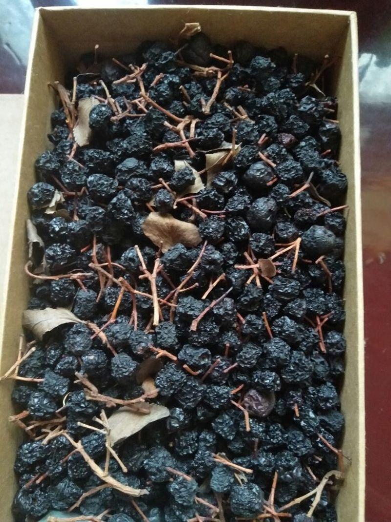 腺肋黑果花楸干果/不老莓